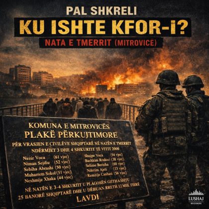 Ku ishte KFORi? – Nata e Tmerrit (Mitrovicë)